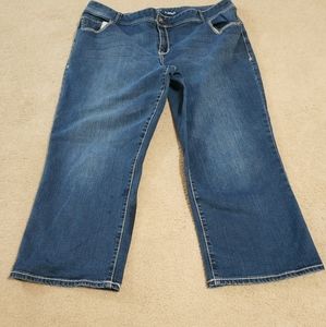 Lane Bryant Capri size 20